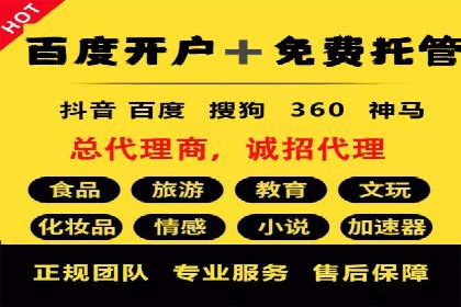 谷歌SEM与移动端优化：某APP的推广策略及效果